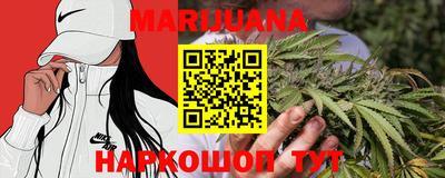 крисы Обь