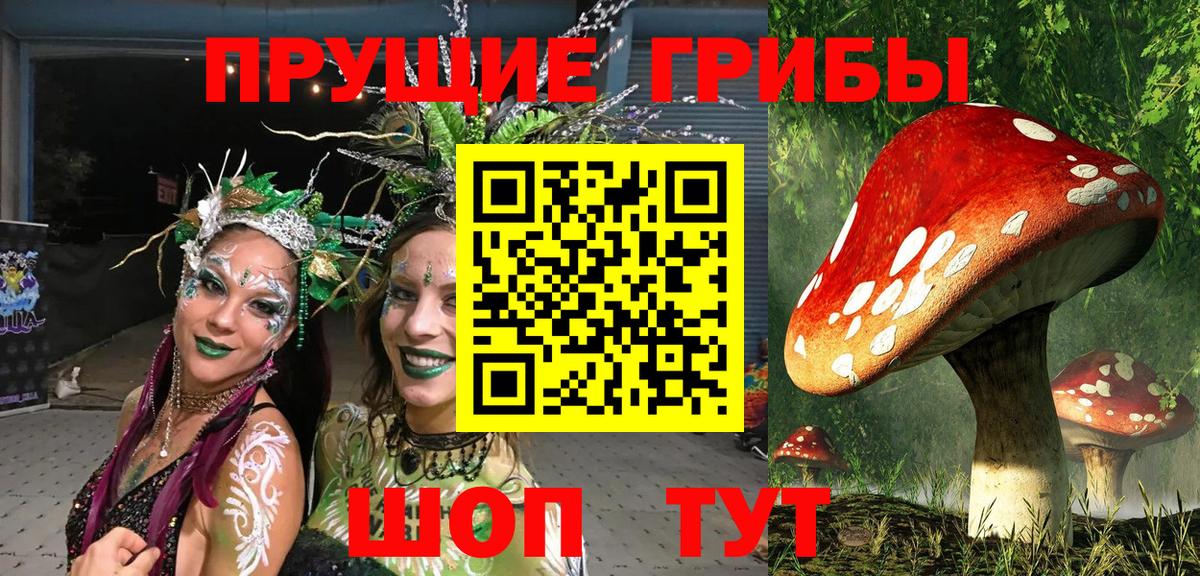 Галлюциногенные грибы MAGIC MUSHROOMS  Вход с VPN  Таганрог  купить   Псилоцибиновые грибы мицелий 