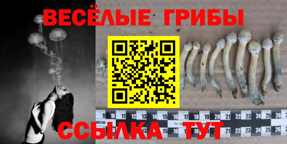 Галлюциногенные грибы ЛСД Таганрог